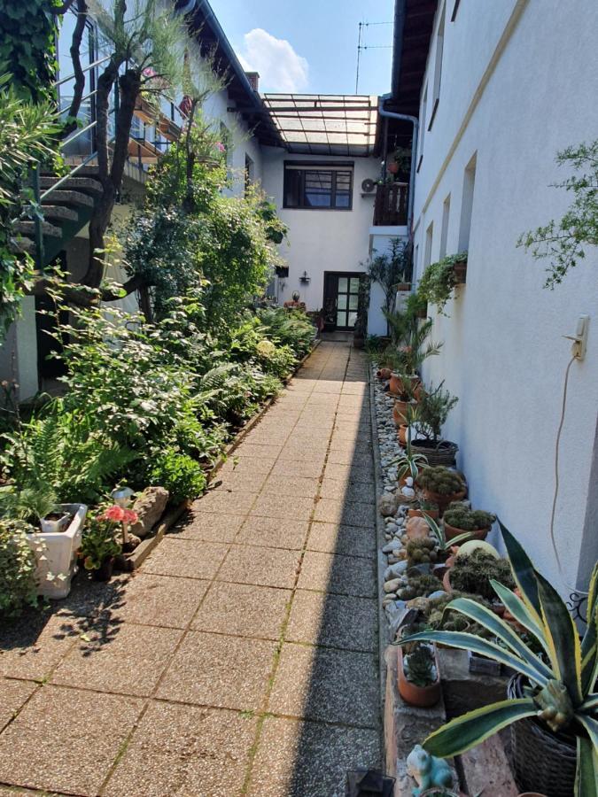 Appartement Roiss Podersdorf am See Exterior photo